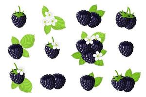 Detail Download Logo Blackberry Vector Nomer 32