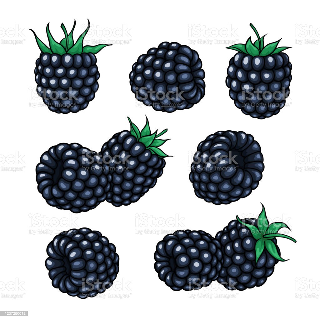 Detail Download Logo Blackberry Vector Nomer 35