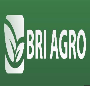 Detail Download Logo Bri Agro Nomer 49