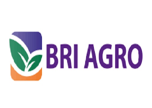 Detail Download Logo Bri Agro Nomer 54