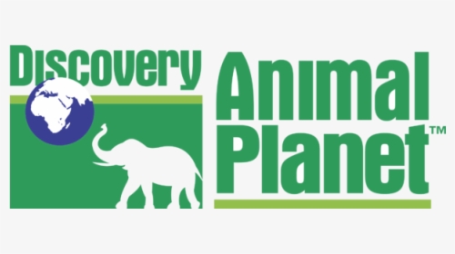 Detail Download Logo Channel Animal Planet Nomer 23
