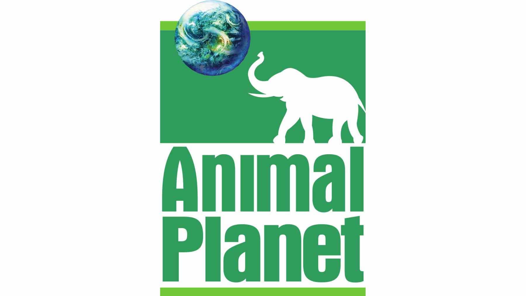 Detail Download Logo Channel Animal Planet Nomer 25