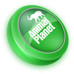 Detail Download Logo Channel Animal Planet Nomer 45