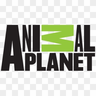 Detail Download Logo Channel Animal Planet Nomer 54