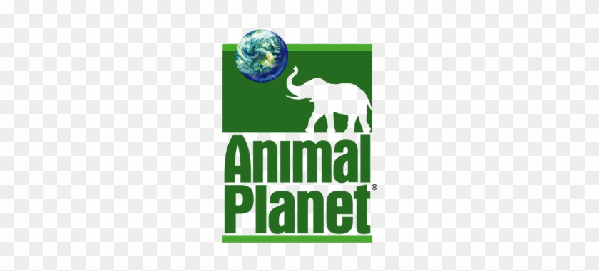 Detail Download Logo Channel Animal Planet Nomer 9