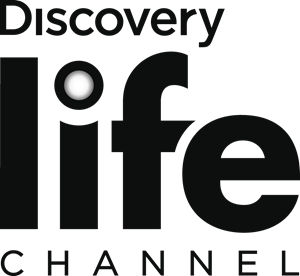 Detail Download Logo Channel Discovery Nomer 27