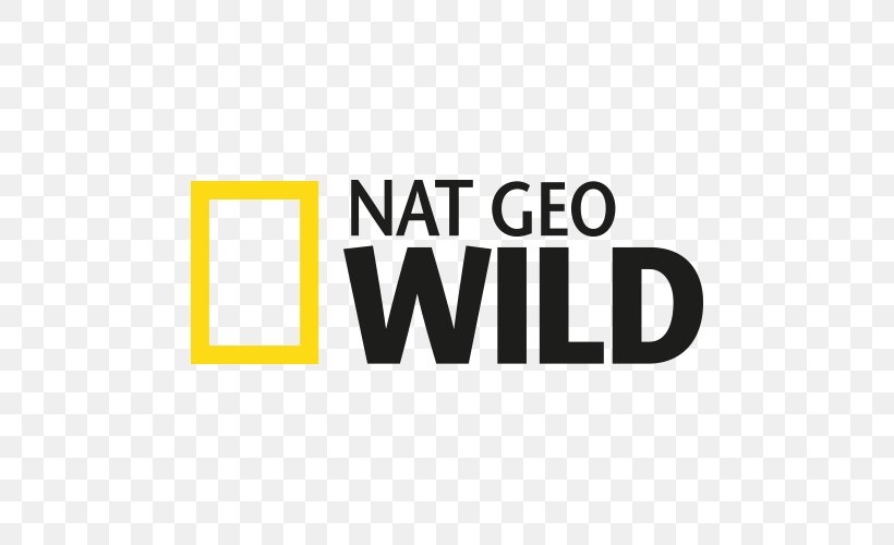 Detail Download Logo Channel Nat Geo Nomer 24