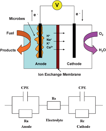 Detail Eis Element Nomer 13