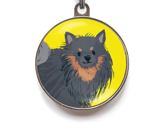 Detail Finnischer Lapphund Schweiz Nomer 10