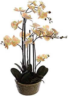 Detail Orchideen Arrangement Im Glas Nomer 4