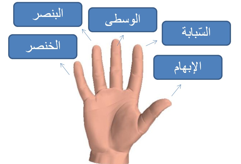 Detail Bahasa Arab Ibu Jari Nomer 2