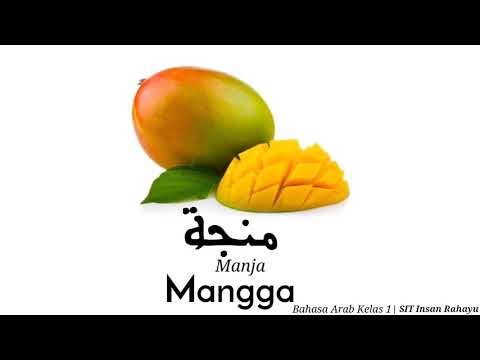 Detail Bahasa Arab Mangga Nomer 31