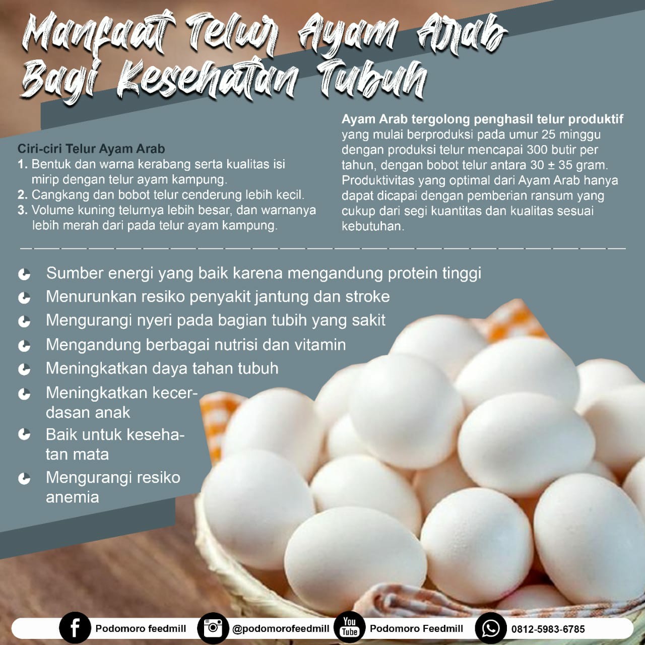 Detail Bahasa Arab Telur Nomer 31