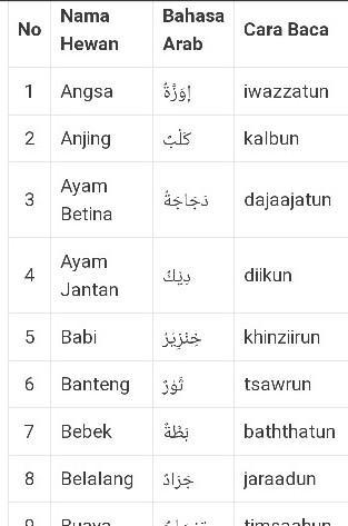 Detail Bahasa Arab Ular Nomer 8