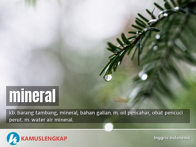 Detail Bahasa Inggris Air Mineral Nomer 38