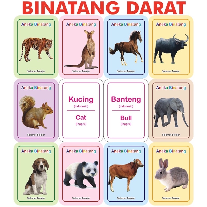 Detail Bahasa Inggris Banteng Nomer 11