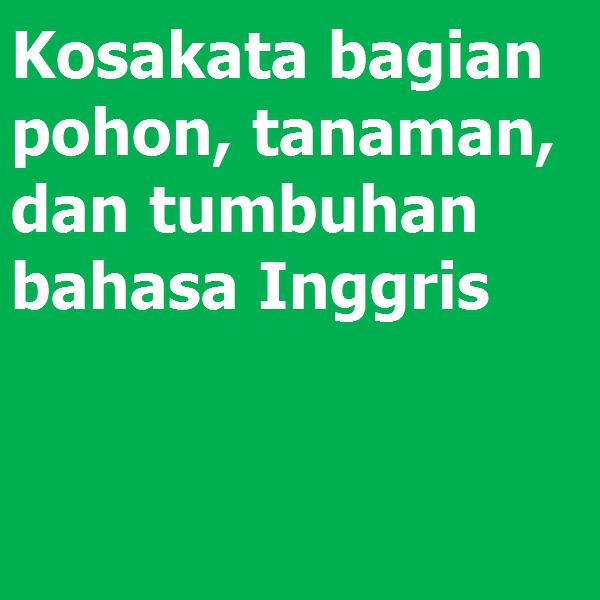 Detail Bahasa Inggris Batang Pohon Nomer 29