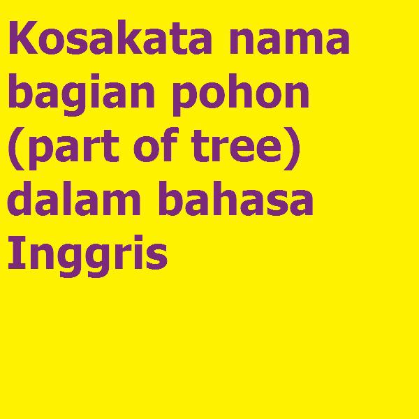 Detail Bahasa Inggris Batang Pohon Nomer 36
