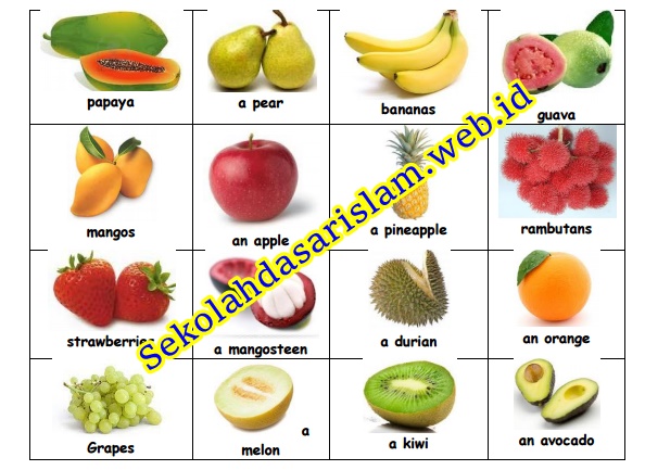 Detail Bahasa Inggris Biji Nomer 25