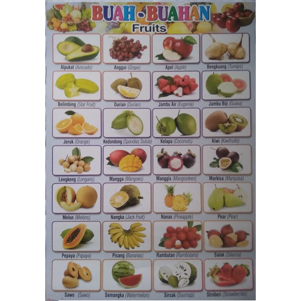 Detail Bahasa Inggris Buah Durian Nomer 12