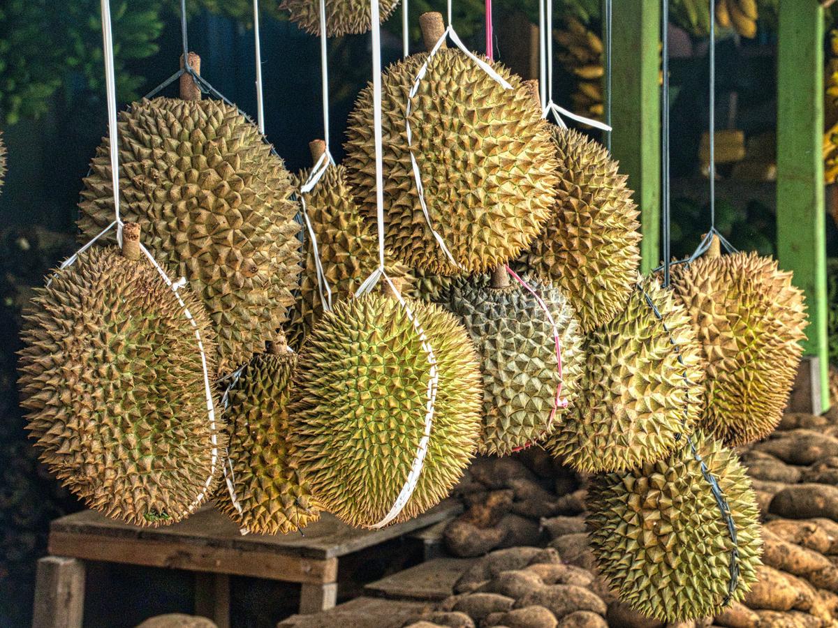 Detail Bahasa Inggris Buah Durian Nomer 16