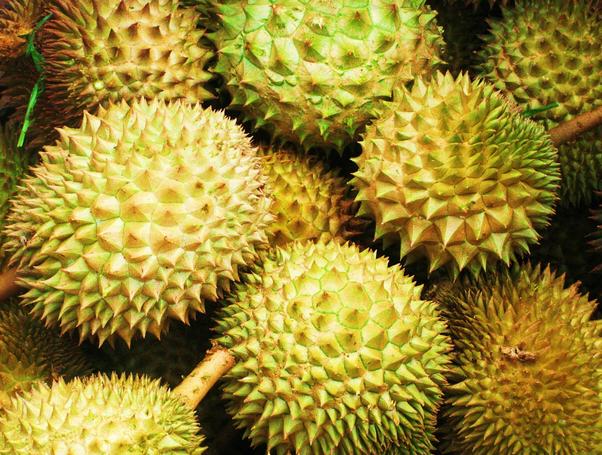 Detail Bahasa Inggris Buah Durian Nomer 19