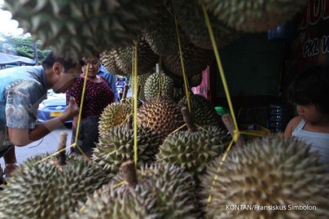 Detail Bahasa Inggris Buah Durian Nomer 39