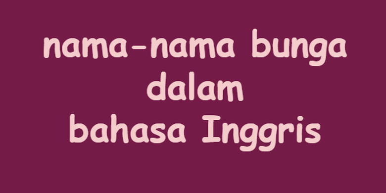 Detail Bahasa Inggris Bunga Tulip Nomer 9