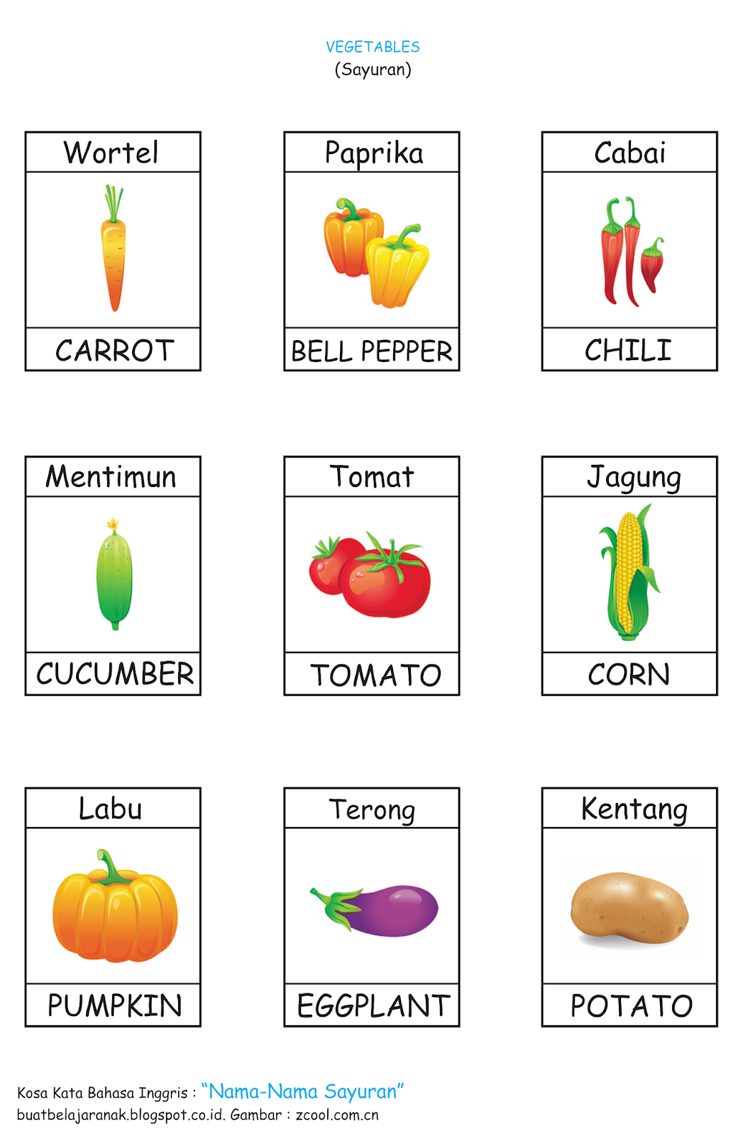 Detail Bahasa Inggris Cabai Nomer 9