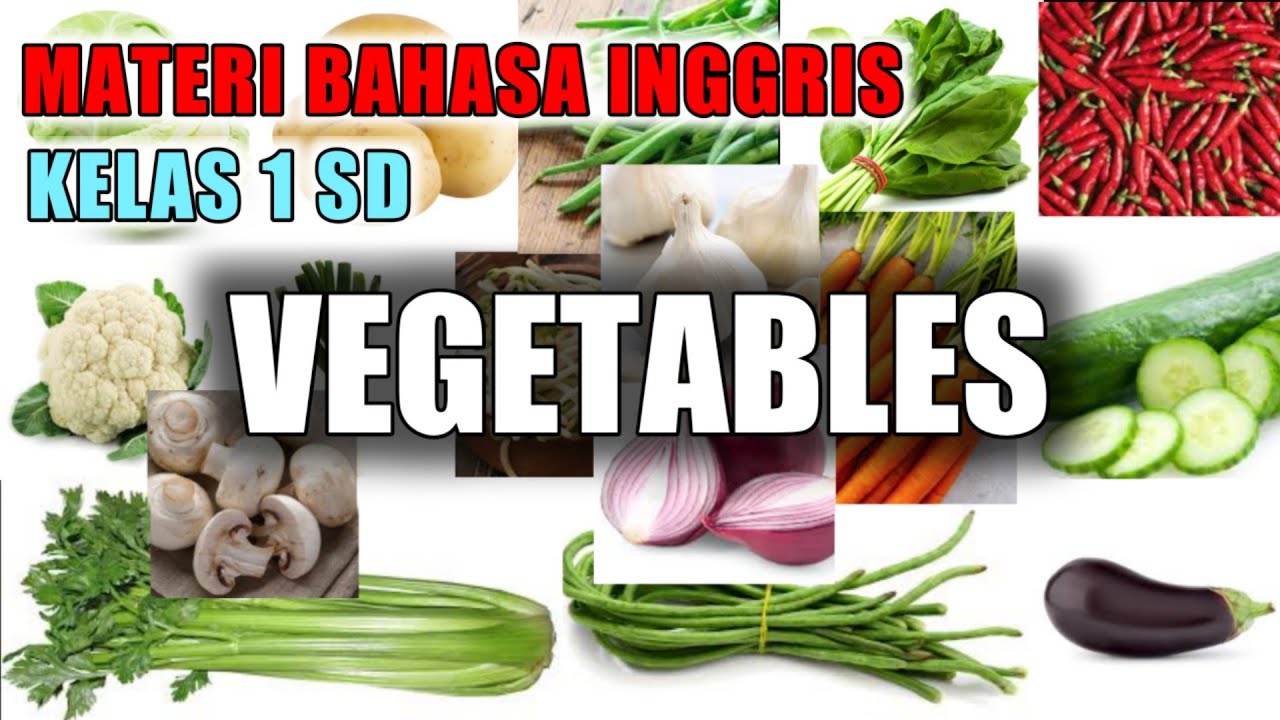 Detail Bahasa Inggris Daun Bawang Nomer 38