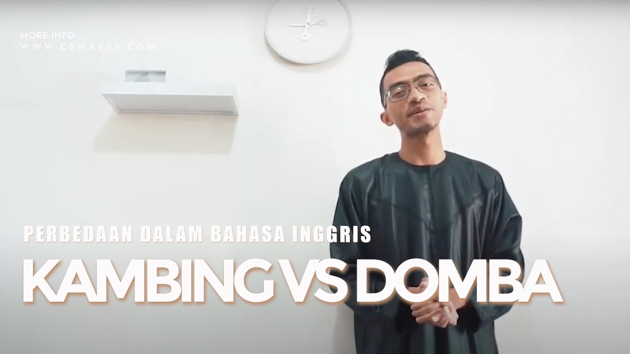 Detail Bahasa Inggris Domba Nomer 41