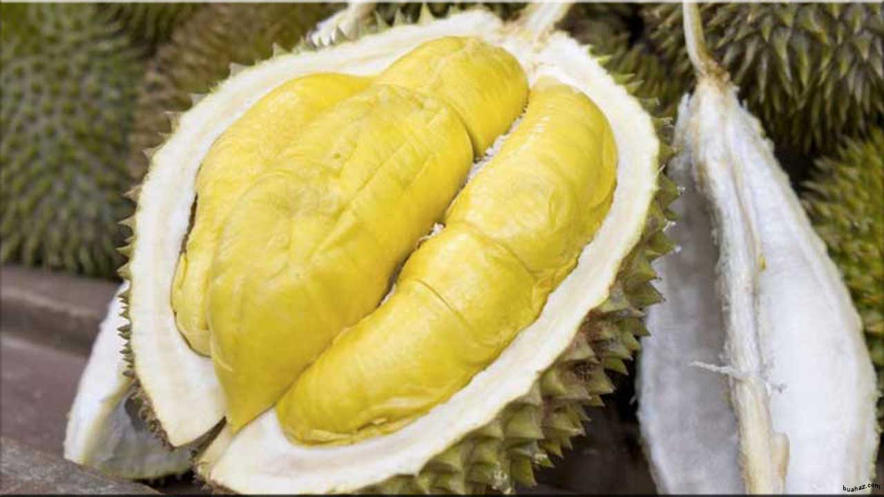 Detail Bahasa Inggris Durian Adalah Nomer 22