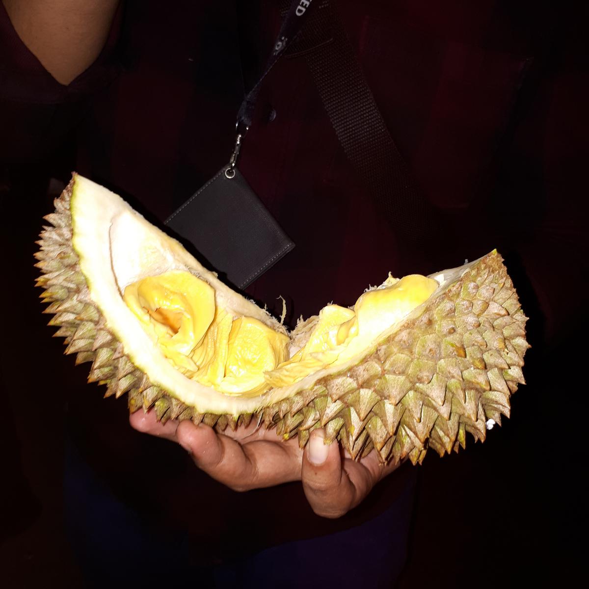 Detail Bahasa Inggris Durian Adalah Nomer 23