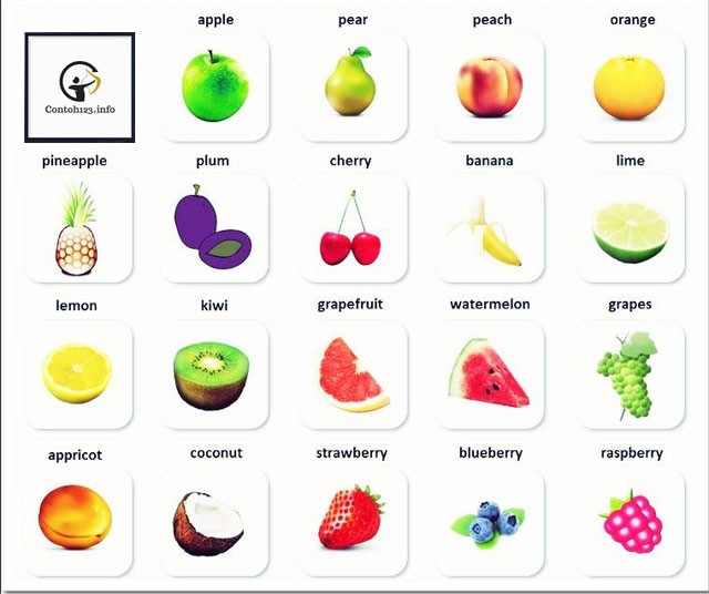 Detail Bahasa Inggris Jeruk Nipis Nomer 7