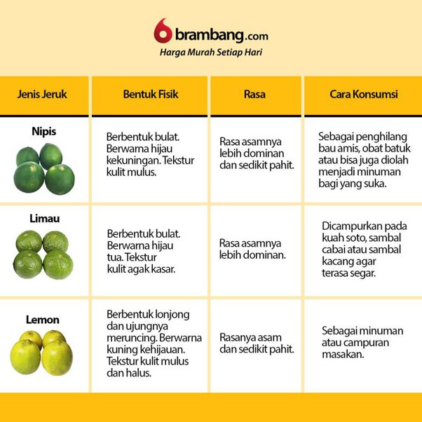Detail Bahasa Inggris Jeruk Nipis Nomer 2