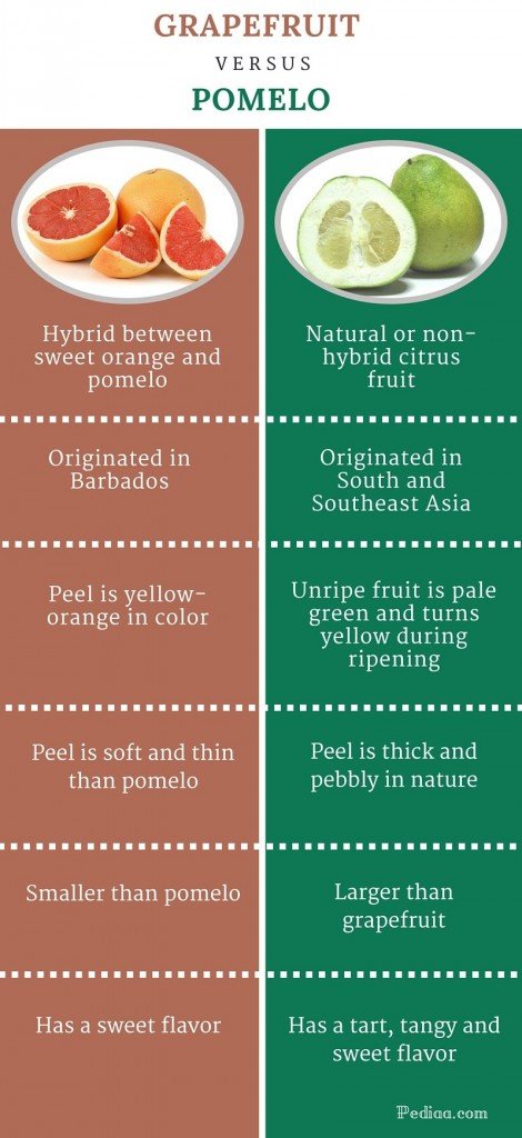 Detail Bahasa Inggris Jeruk Nipis Nomer 30