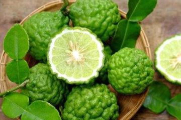 Detail Bahasa Inggris Jeruk Nipis Nomer 32