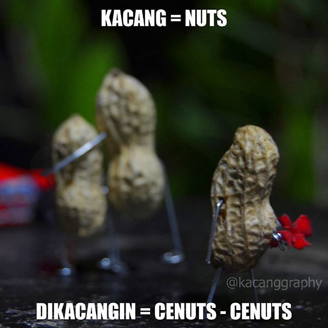 Detail Bahasa Inggris Kacang Nomer 17