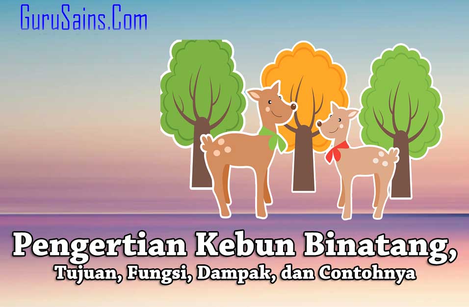 Detail Bahasa Inggris Kebun Binatang Nomer 42