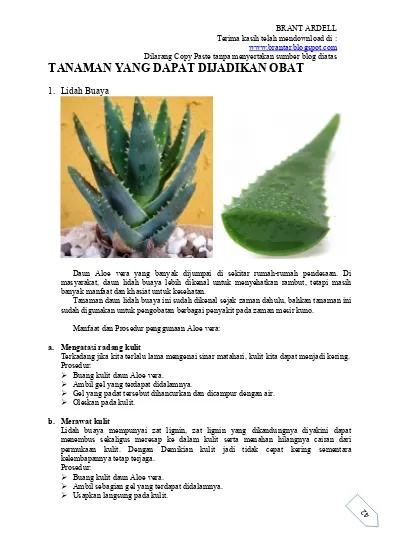 Detail Bahasa Inggris Lidah Buaya Nomer 7