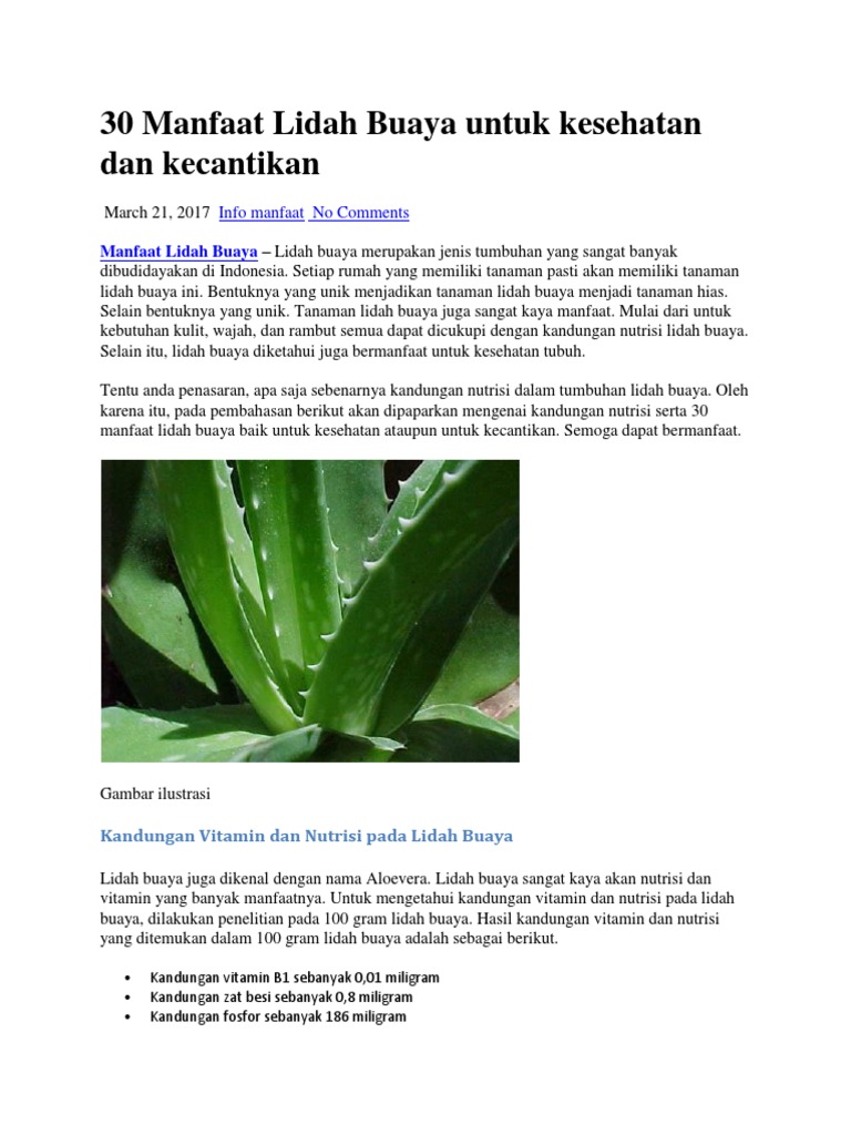 Detail Bahasa Inggris Lidah Buaya Nomer 14