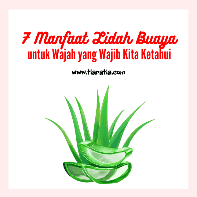 Detail Bahasa Inggris Lidah Buaya Nomer 35