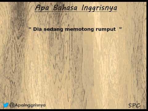 Detail Bahasa Inggris Memotong Rumput Nomer 3