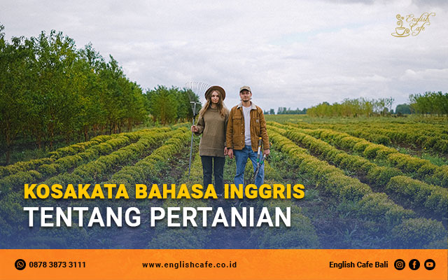 Bahasa Inggris Padi Sawah - KibrisPDR