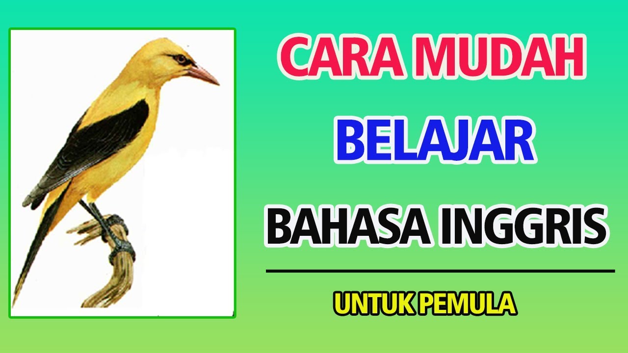 Detail Bahasa Inggris Paruh Burung Nomer 14