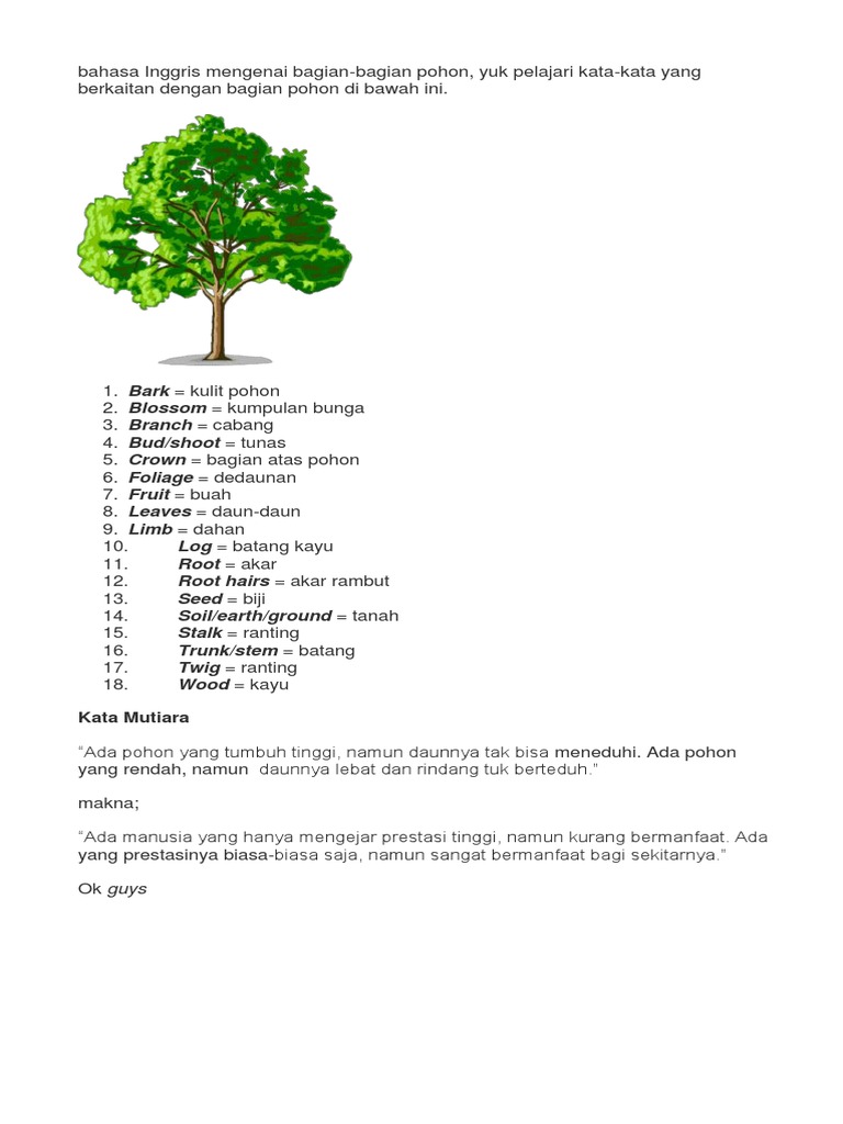 Detail Bahasa Inggris Ranting Nomer 3