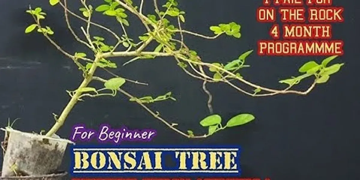 Detail Bahasa Inggris Ranting Nomer 38