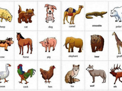 Download Bahasa Inggris Singa Nomer 2