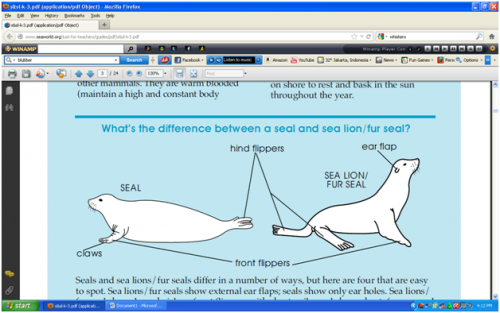 Detail Bahasa Inggris Singa Nomer 15