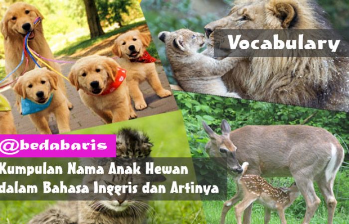 Detail Bahasa Inggris Singa Nomer 29